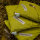 SET Fio + Camino L forestal
